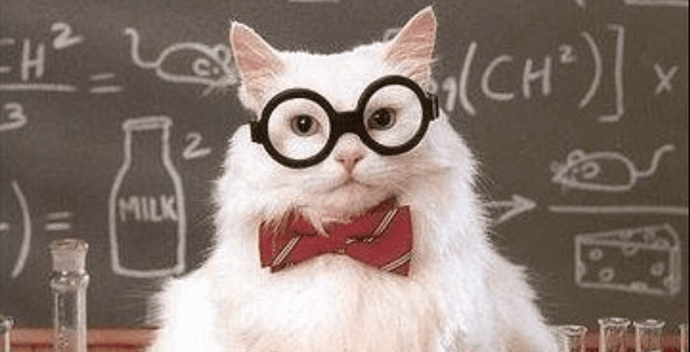 Chemistry Cat regiert die Welt der Chemie-Meme.