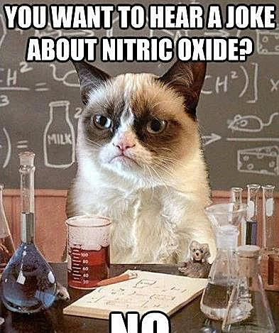 Grumpy Cat ist ein neueres Mem als Chemistry Cat, aber er hat viel Potenzial.