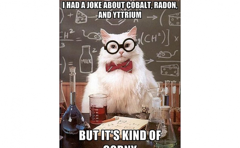 Chemistry Cat bewertet Witze ziemlich streng.