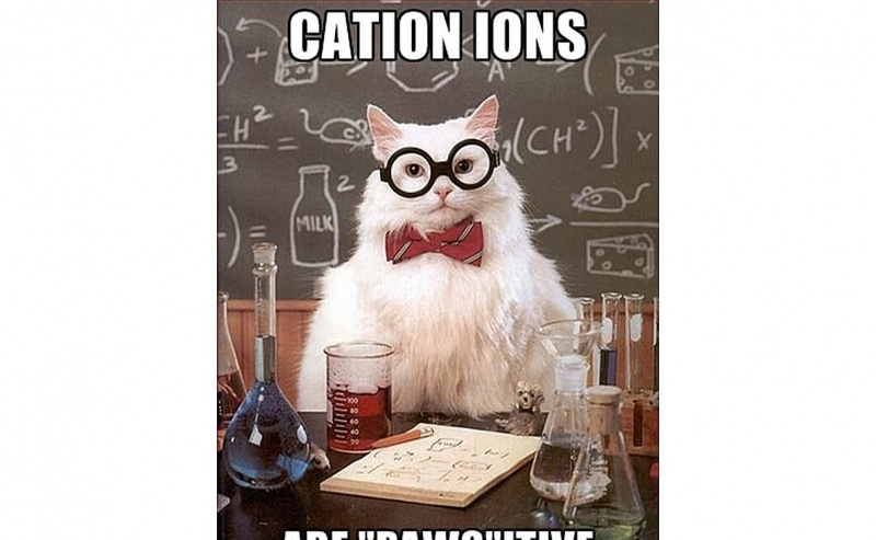 Chemistry Cat steht Kationen positiv gegenüber.