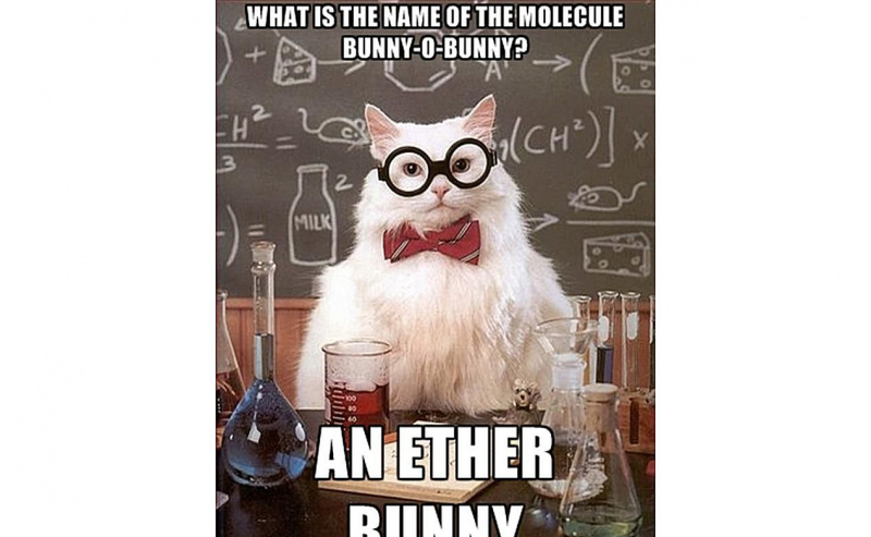 Chemistry Cat glaubt an den Ätherhasen.