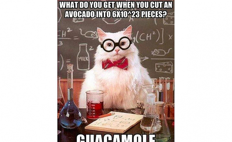 Chemie-Katze kann Fiesta!