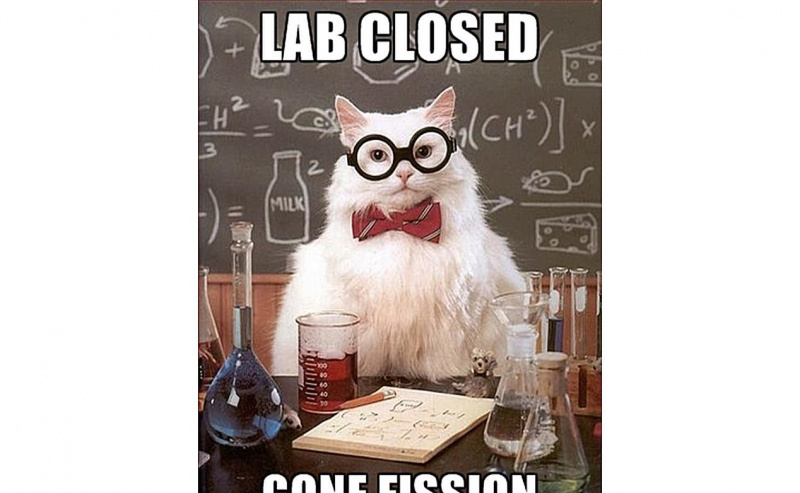 Chemistry Cat trennt sich und nimmt sich den Tag frei.