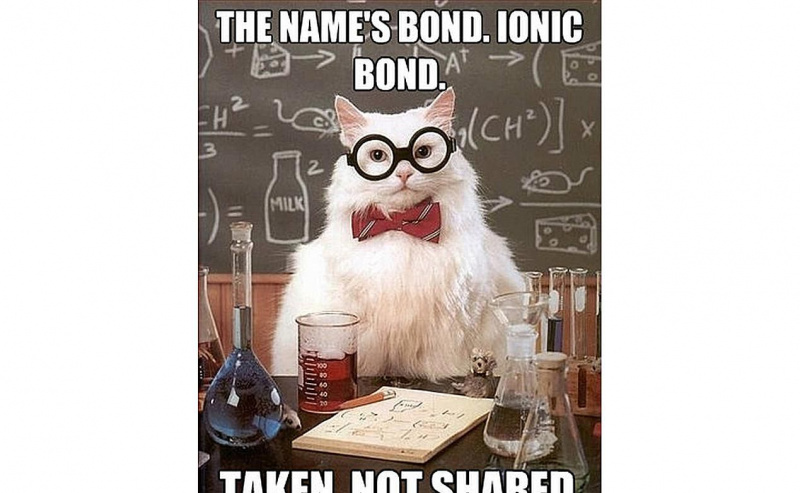 Chemistry Cat bildet eine starke Bindung.