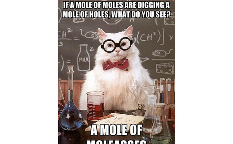 Chemistry Cat ist der Hintern von Maulwurfswitzen.