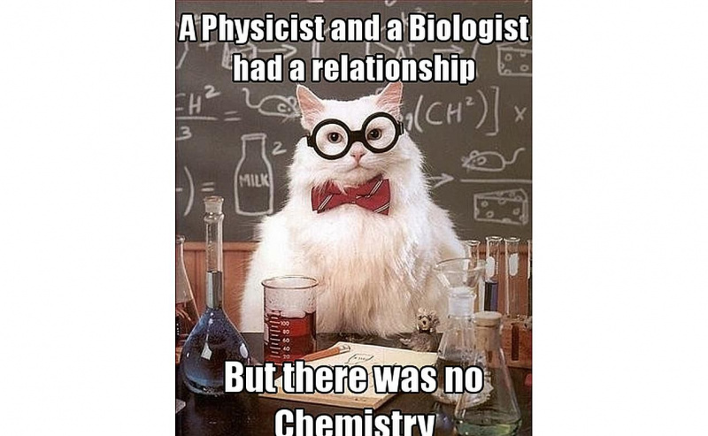Chemistry Cat kennt das Geheimnis der wahren Liebe.
