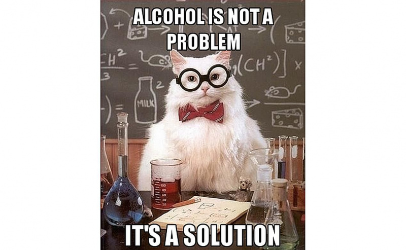 Chemistry Cat hält Alkohol für eine Lösung.