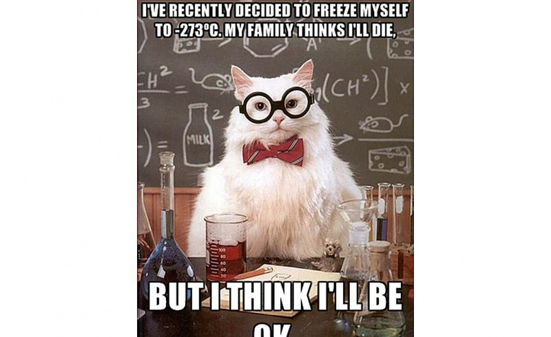 Die Chemiekatze fürchtet die Kälte nicht.