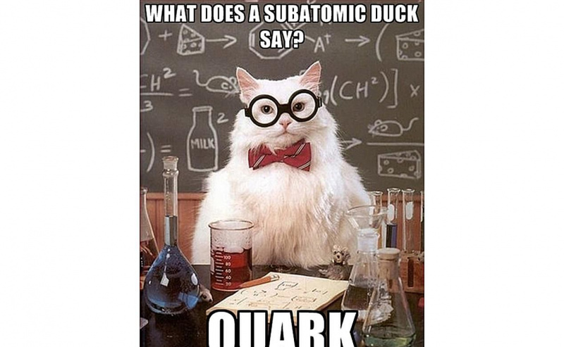Chemiekatze spricht Quantenente.