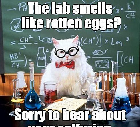 Chemistry Cat tut mir leid für den Geruch und dein Schwefeln.