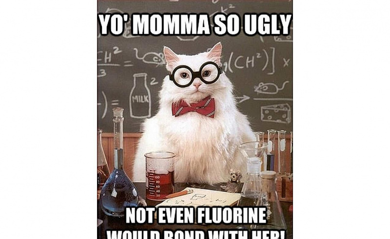 Chemistry Cat ist respektlos zu deiner Mutter.