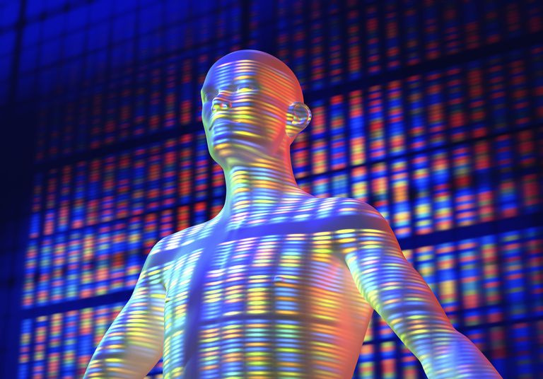 Das Human Genome Project erstellte eine Karte der Gene eines Menschen.