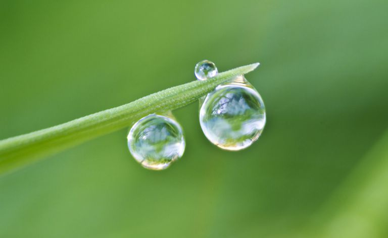 Tensión superficial de la gota de agua