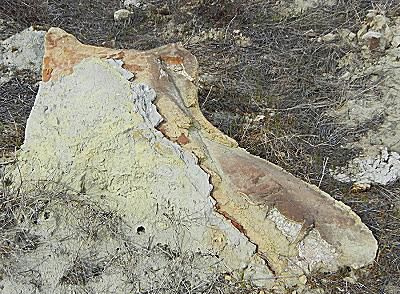 Alcune concrezioni racchiudono ossa, altre niente