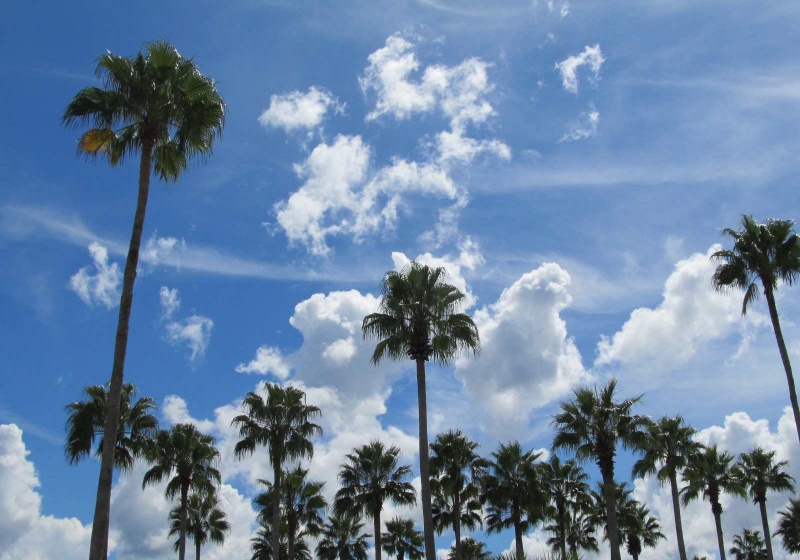 Nuages ​​MGM-440.JPG