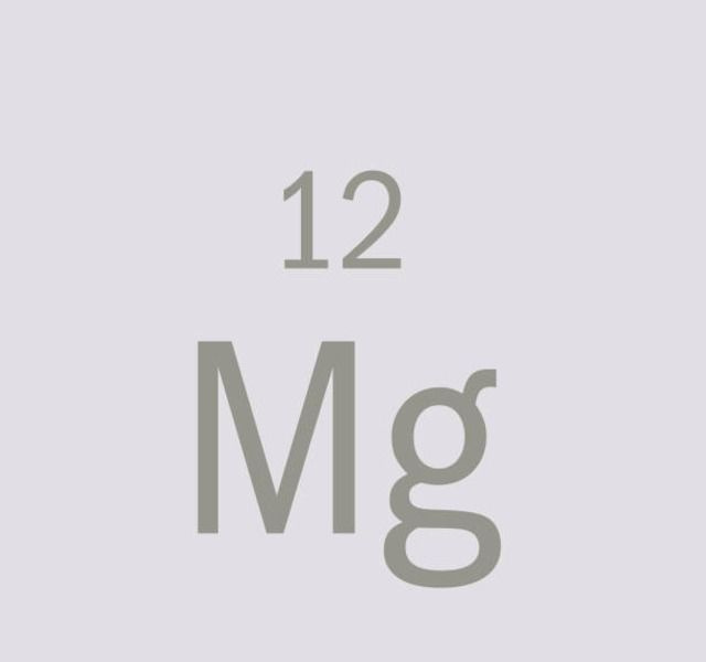 Símbolo químico del magnesio, el metal necesario para el crecimiento y metabolismo de la mayoría de los organismos vivos