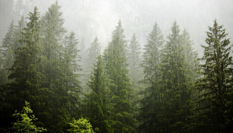 Pøsregn
