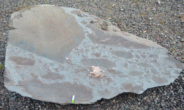 Pezzo di roccia di peperite sulla ghiaia.