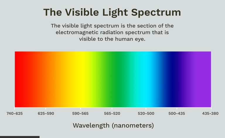 Lo spettro della luce visibile è la sezione dello spettro della radiazione elettromagnetica visibile all
