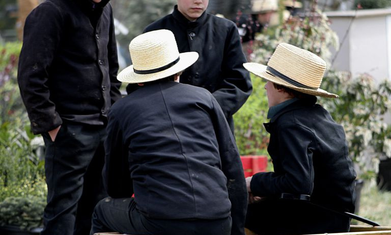 Amish er eksempler på typer genetisk drift