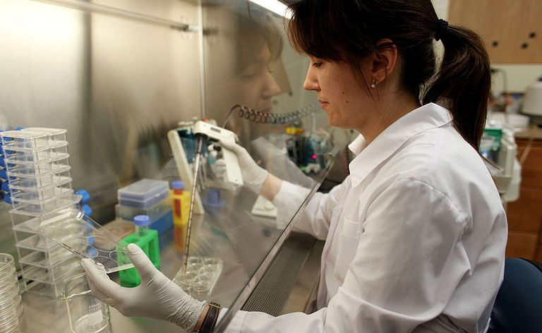 Cientista fazendo pesquisa sobre hidrólise