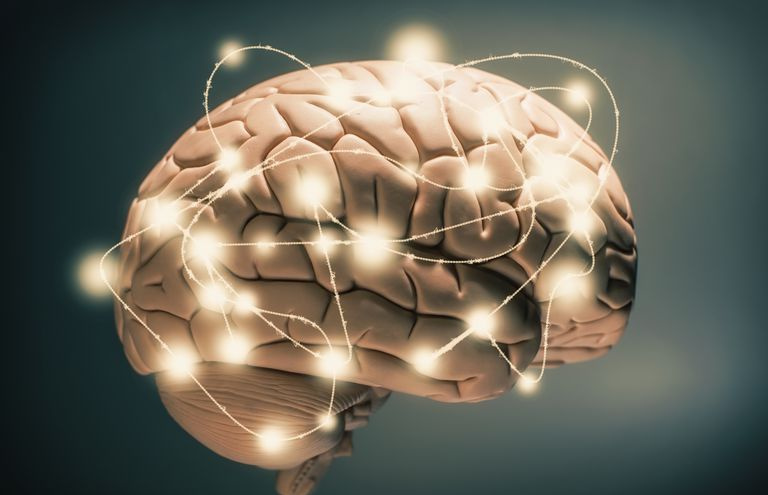 ilustración del cerebro