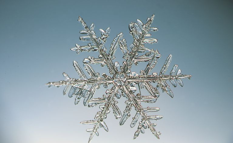 Un cristallo di fiocco di neve