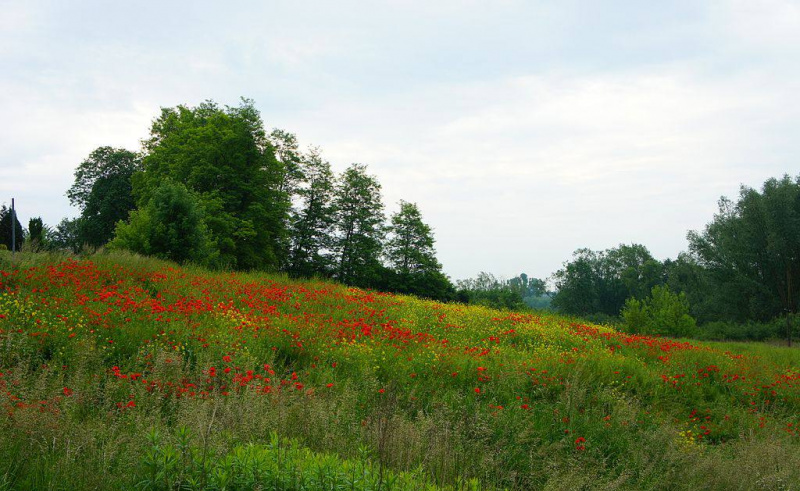 Comuna de Wilczyce, Polonia