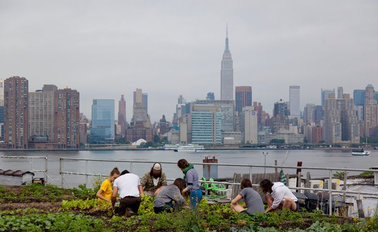 Un effet de jardin sur le toit à New York.
