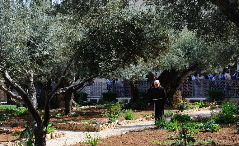 Jardin de Gethsémané, Église de toutes les nations, Jérusalem