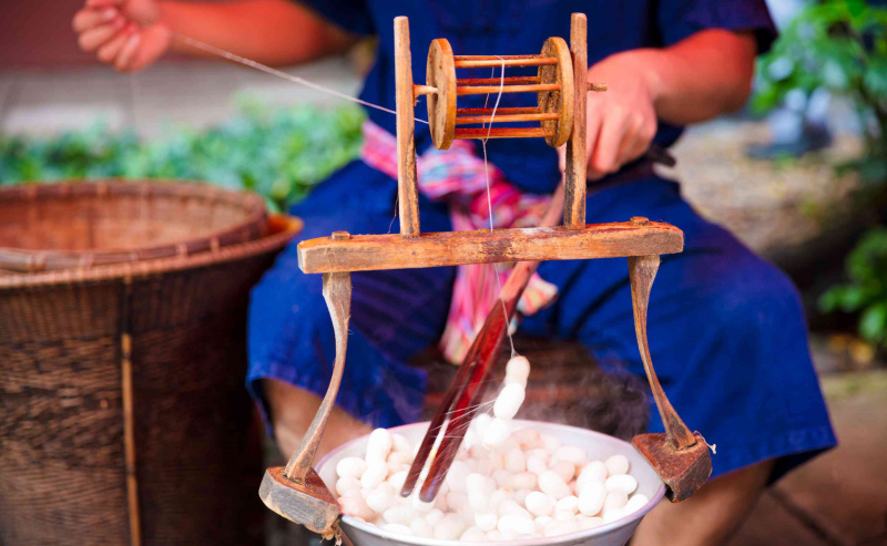 Unreeling Silk fra Silkworm Cocoon