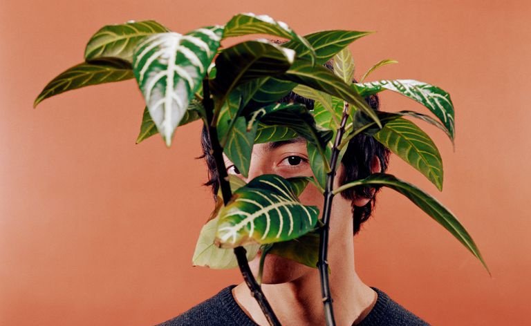 Homem se escondendo atrás da planta