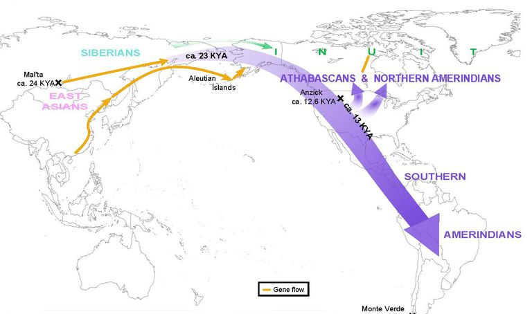 Carte du calendrier révisé de la Béringie (Raghavan et al. 2015)