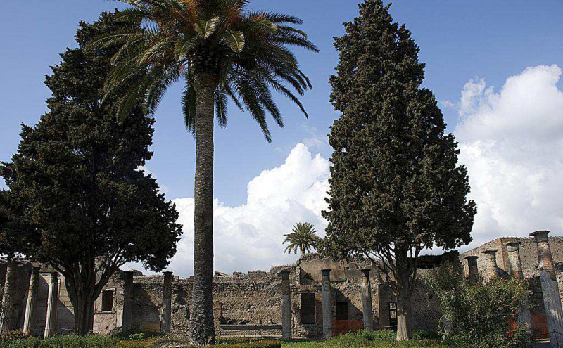 Duży Perystyl, Dom Fauna, Pompeje