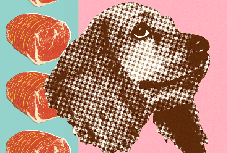 perro y bistec