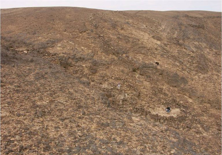 Ørkendragearkeologiske steder i Negev sør for Israel