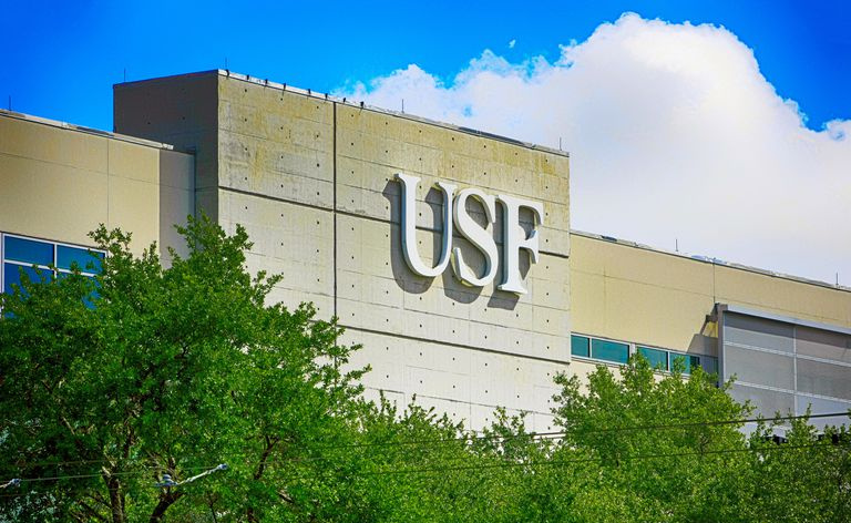 Universität von Südflorida
