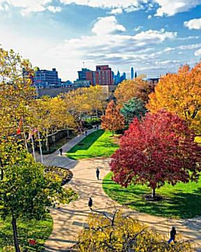Université Rutgers de Camden
