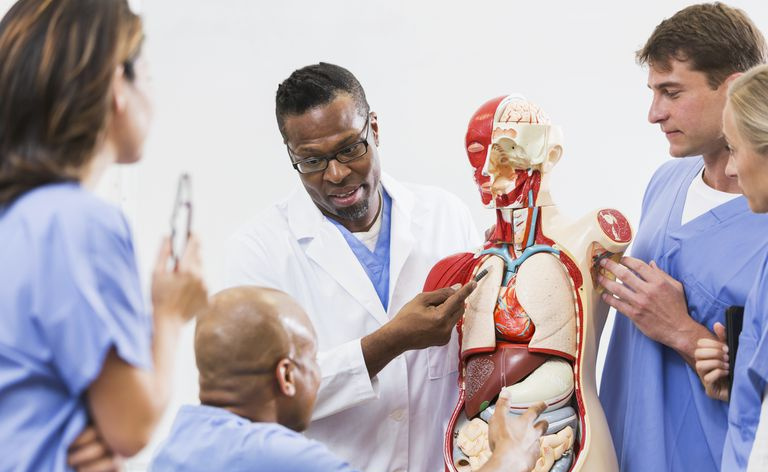 Clase de anatomía de la escuela de medicina