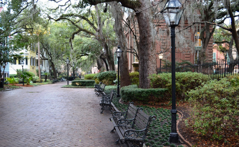 チャールストン大学