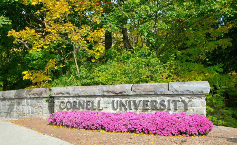 Cornell Universität
