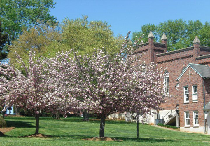 Colegio de la Abadía de Belmont