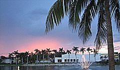 universidad de miami