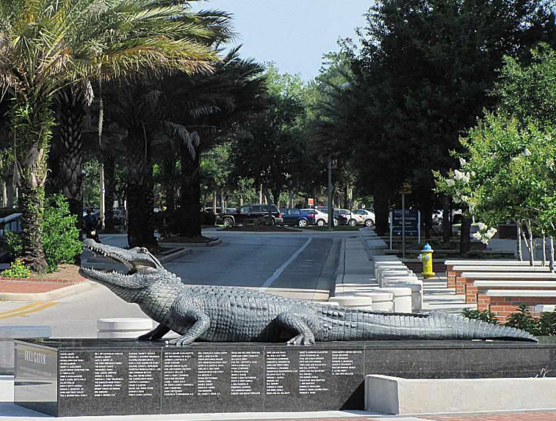 Bull Gator presso l
