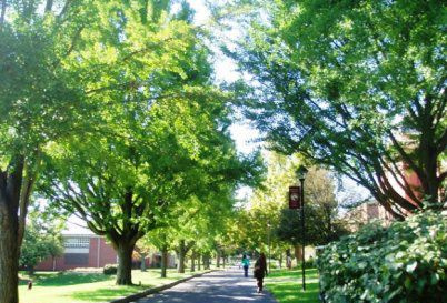 Universidad de Susquehanna
