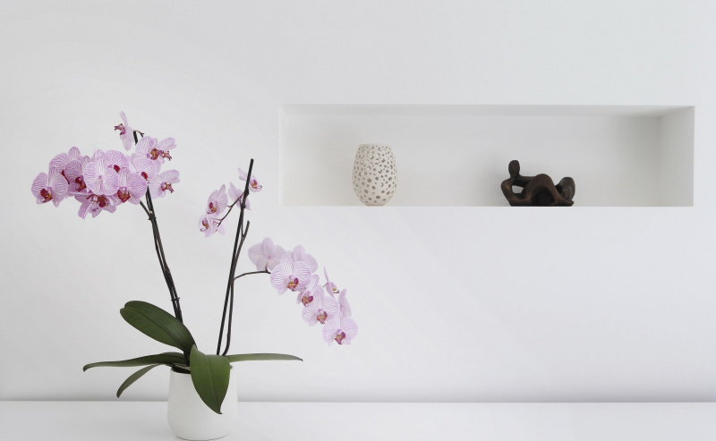 design minimalista