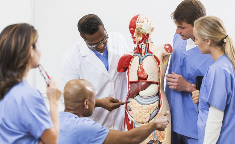 Uma aula de anatomia da faculdade de medicina.