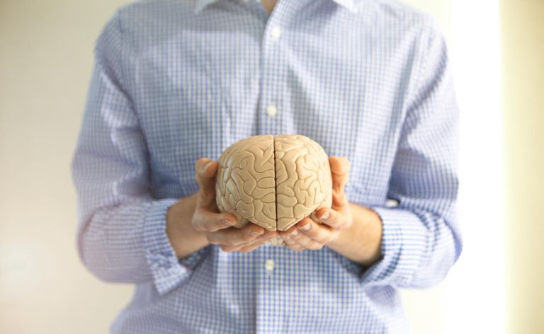 Homme tenant un modèle de cerveau.