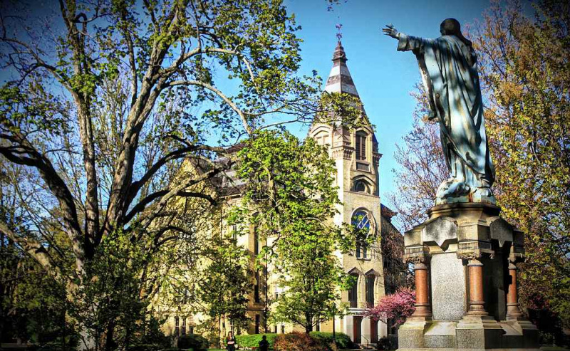 Notre-Dame-Michael-Fernandes.JPG
