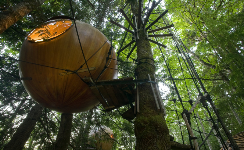 As acomodações do Free Spirit Sphere no Canadá são cápsulas esféricas penduradas nas árvores.
